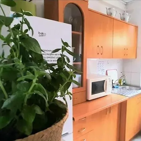 Pod Sloneczkiem بيت ضيافة